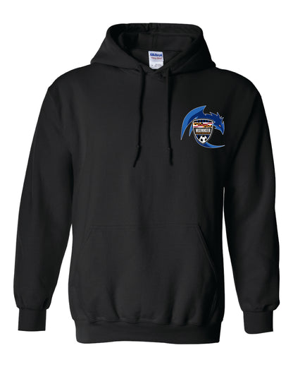 WSA Hoodie